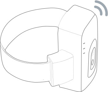 From Conviction to Redemption: The GPS Bracelet Probation Revolution - 翻译中...